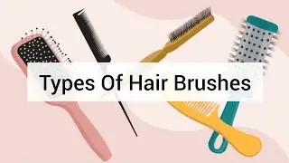 Your Must Have Hair Brushes | Types Of Hair Brushes | Fashion Lookbook