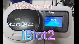 #Western #blot short Demo with #IBlot instrument.#Dryblot #Immunoblot #super speed transfer machine