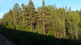 &Aring;terf&auml;rd fr&aring;n slagn&auml;s