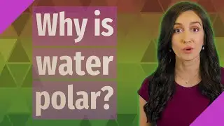 Why is water polar?