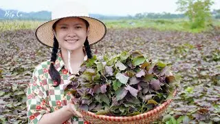 Perilla - Magic spice in cuisine, Cook delicious dishes with my family | Bếp Cọ