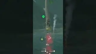 Tree Launch vs Bokoblin! (The Legend of Zelda: Breath of the Wild)
