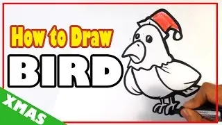 How to Draw a Christmas Bird - Christmas Drawings