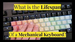 How Long do Mechanical Keyboards Last & How to Make them Last Longer!