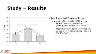 Exploring the Effects of VR Activities on Stress Relief