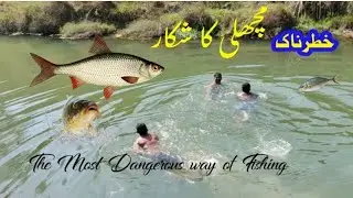 The Most Dangerous way of Fishing   #village #fishing #rawalpindi #pakistan #dangerous