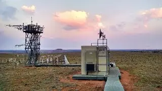 NEON: Open Data to Understand our Changing Ecosystems