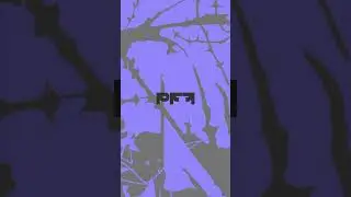 PFF 24 Line Up Announcement
