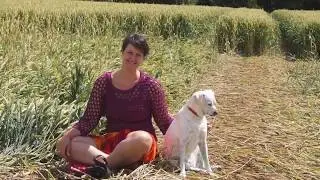 Graancirkel Kampeer Reis Zomer 2017