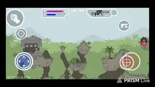 Live streaming of NitroxForYou
