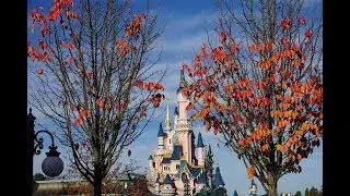 Main Street USA & Fantasyland (east) at Disneyland Paris in VR 360