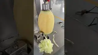 Fruit processing machine #foodprocessingequipment    #foodprocessingmachines  #sandglass   #shorts