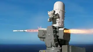 RIM-116 Rolling Airframe Missile (RAM)