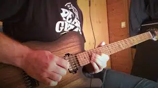 Fractal AX8 Diezel VH4 - LSL Instruments BariBone black limba