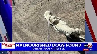 Fabens man charged with animal cruelty