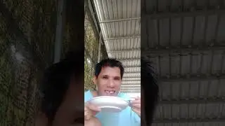 Ăn cơm trang nước đá lạnh với dưa mắm món ăn channel miền Tây
