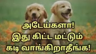 அடேய்களா! இது கிட்ட மட்டும் கடி வாங்கிறாதீங்க! #awareness #tamil #students #dog #dogs #dogtraining