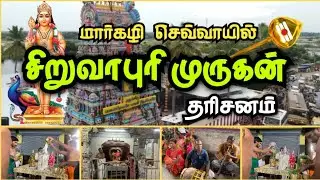 மார்கழி செவ்வாயில் சிறுவாபுரி முருகன் தரிசனம் 🕉️ Siruvapuri Murugan Temple Today! #devotional 