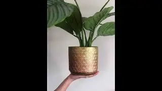 Artisan Metallic Alchemy