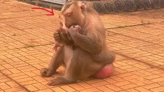 Tender Care &ndash; Mama JULLA Uses Her Natural Instinct to Check Baby.