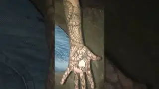 payal ra mehendi #sort# SP PAYAL family