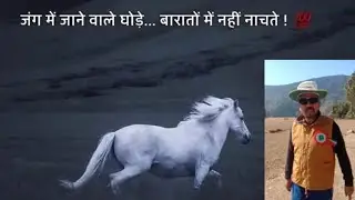 uttrakhandi rockstar is live संघर्ष जितना बड़ा होगा जीत उतनी ही शानदार होगी कर भला तो हो भला 💝🌹