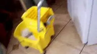 MOPPiN`