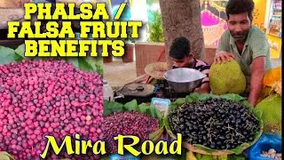 Phalsa Fruit Health Benefits And Where To Buy Falsa Fruit In Mira Road, Mumbai