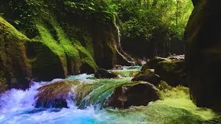 River Flow That Feels Like a Hug &ndash; Gentle Birdsong and Soothing Water for Deep Relaxation