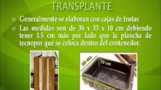 HIDROPONIA DE RAIZ FLOTATE