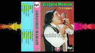 🇧🇴🇧🇴 GREGORIO MAMANI V. DEL AÑO 1.990 CASSETTE ORIGINAL ALBUM COMPLETO 74 13 1004