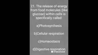 Biology Exam Simulation: Classification of Living Things | Kingdom to Species