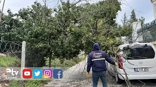 STORM IN EDİRNE TOPPLED TREES AND DAMAGED A VEHICLE.