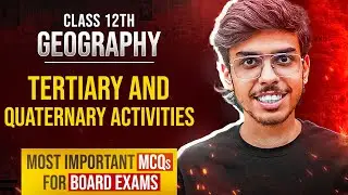 Tertiary and Quaternary Activities Class 12 Geography Most Important MCQs Questions Board Exams