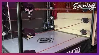 Let's get ready to RUMBLE!! 🥊 Seattle's first pro-wrestling themed bar