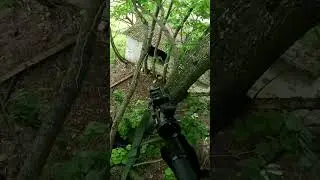 ПОЧТИ НОРМАЛЬНЫЙ КАРАБИН В СТРАЙКБОЛЕ SSX303  #страйкбол #airsoft #ssx303