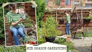 Mid Summer Garden Refresh 🌿🌼 Peaceful Gardening Vlog