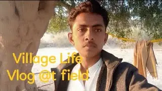 A beautiful Tharparkar village life and field vlogs field during visits #Tharparkar #vlog #village