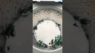 #Laundry Pod #overload 🙂&zwj;&harr;️🫧🤍 #laundry #asmr #laundryasmr #capcut #cleantok