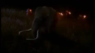 Land Of The Mammoth Hunters