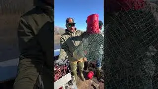 Crawfish Trap Deconstructed | Louisiana Crawfish Company