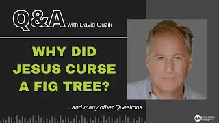 Why Did Jesus Curse a Fig Tree?