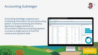 Nonprofit & Education - Accounting Subledger