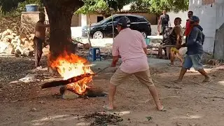 ASSANDO CASTANHA DE CAJÚ NO INTERIOR NORDESTINO BRASILEIRO.
