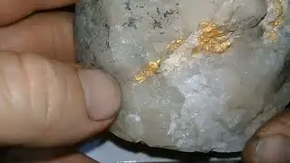 quartzo com Ouro, a Rocha do Ouro que existe em todo território brasileiro