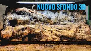 Sfondo 3d per gechi leopardini finalmente completato