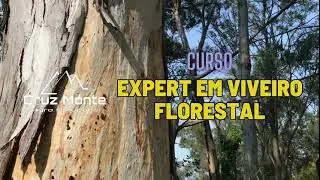 Apresenta&ccedil;&atilde;o curso Expert em Viveiro Florestal