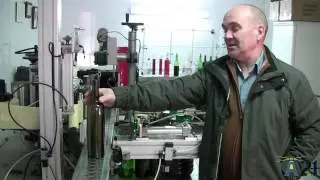 Bodegas Ayuso