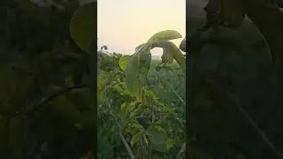 हम नारे नहीं, नतीजे लिखते हैं,जो वक़्त से आँख मिलाकर चल पड़े,वही लोग मुक़द्दर की तहरीर लिखते हैं