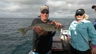 BIG Whiting, Point Turton South Aust
